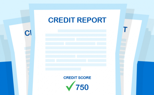Credit Score vs. Credit Report